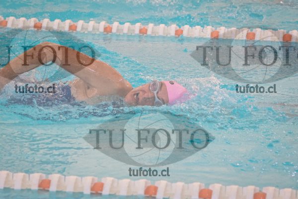 Image 23 SD 100 libre 000572