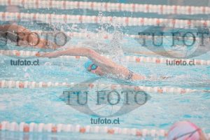 Image 7 SD 100 libre 000192
