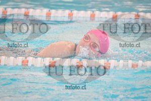 Image 7 SD 100 libre 000196