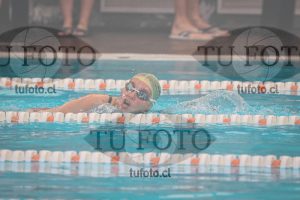 Image 7 SD 100 libre 000199