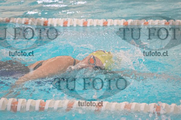 Image 14 SD 100 libre 000385