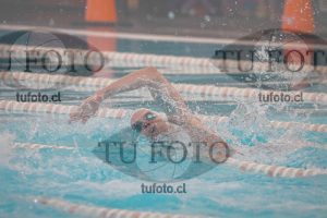 Image 33 SD 100 libre 000742