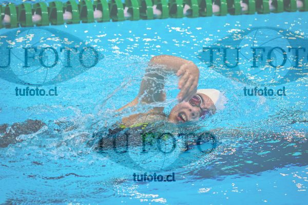 Image NI 800 000155