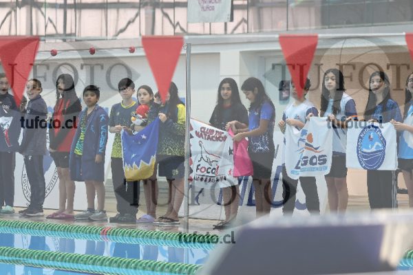 Image NI desfile 000102
