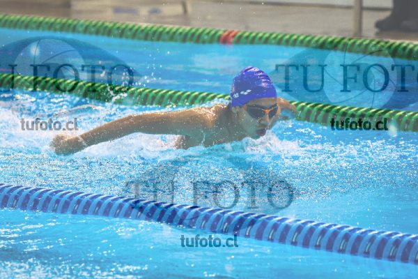 Image NC 200 Mariposa 13-14 Años Varones 000099